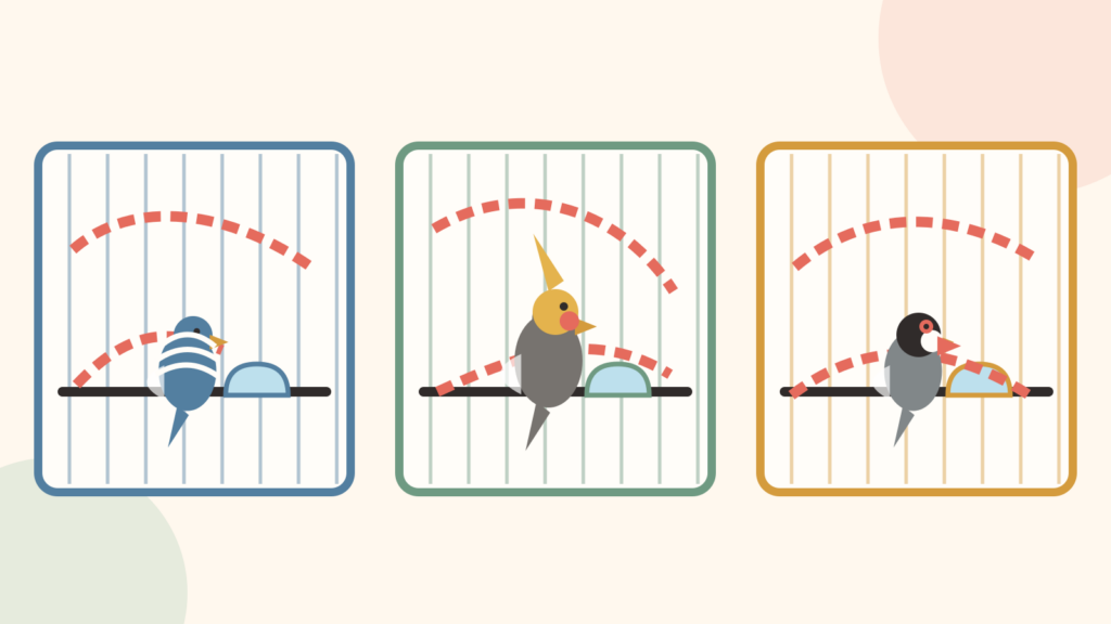 虎皮鸚鵡玄鳳鸚鵡與爪哇文鳥比較籠內可用飛行路徑